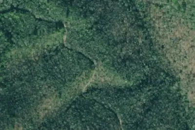 Camp site