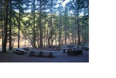 Indian scotty group site