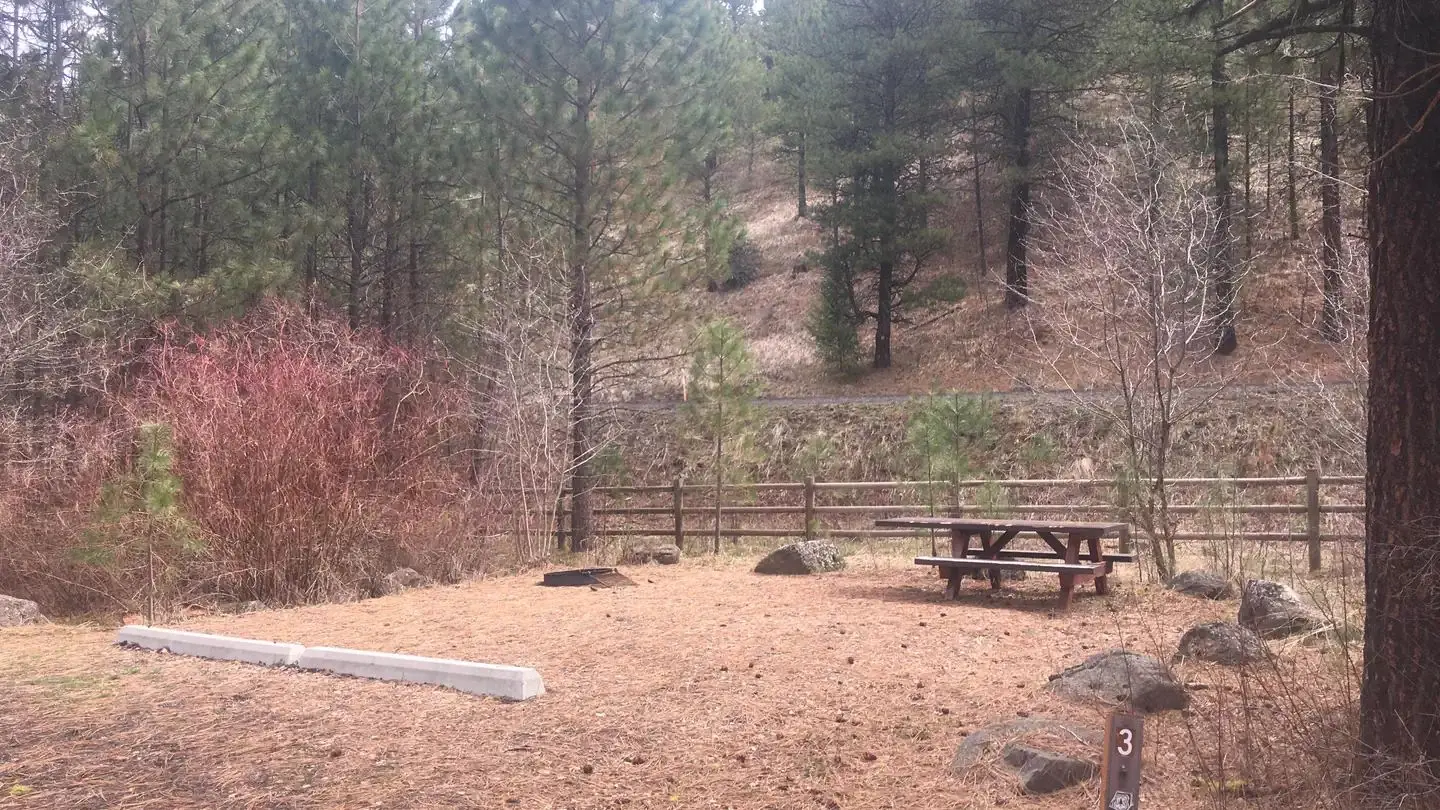 Campsite with parking curb, and picnic table surrounded by pine trees and tall brush.