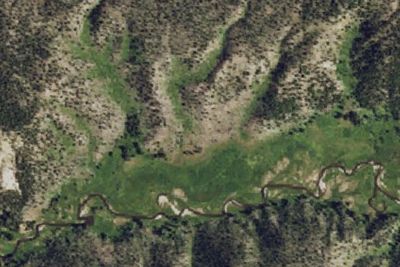 Wapiti Junction
