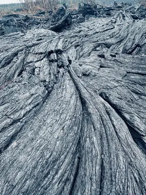 Closeup of sharp and fragile pāhoehoe lava near Nāpau (8f0f56a6-da55-4a16-8db2-d1ccb98b1644)