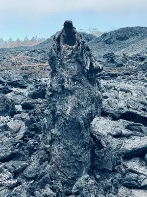 The newest lava tree mold in the park (0d72e04e-edff-4670-bb11-0acb9c5f23ed)