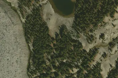 U.S. Forest Service Site #8