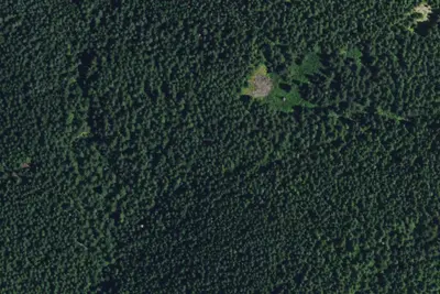 Berry Camp