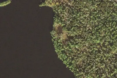 Camp site
