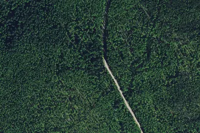 Clearwater Loop 01