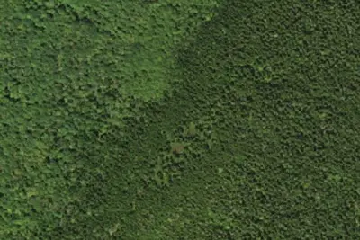 Camp site