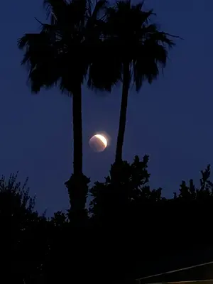 Total Lunar Eclipse (52078392008)