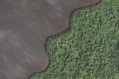 Fourmile Lake Site 1