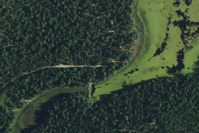 Snake Lake (Family Cg)