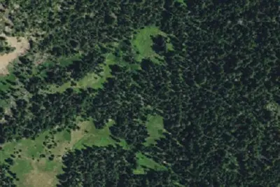 Camp site