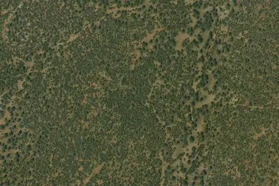 Camp site