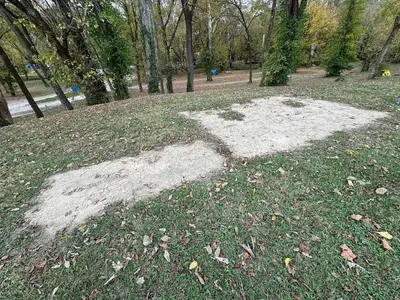 Sycamore Hollow - October 2023 - Sarah Stierch 02