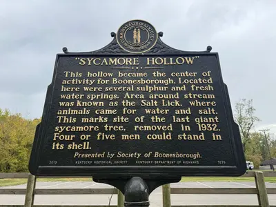 Sycamore Hollow - October 2023 - Sarah Stierch 01