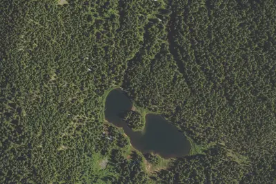 Camp site