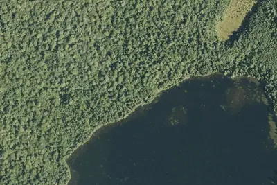Mountain Pond Shelter