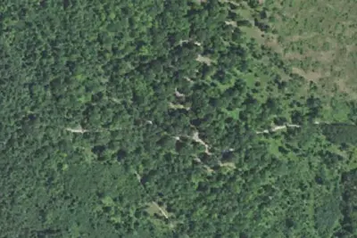 Hopkins Creek Equestrian State Forest Campground & Trail Camp