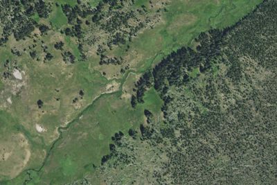 Mist Creek Meadows