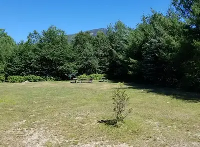 Mountain view, picnic table