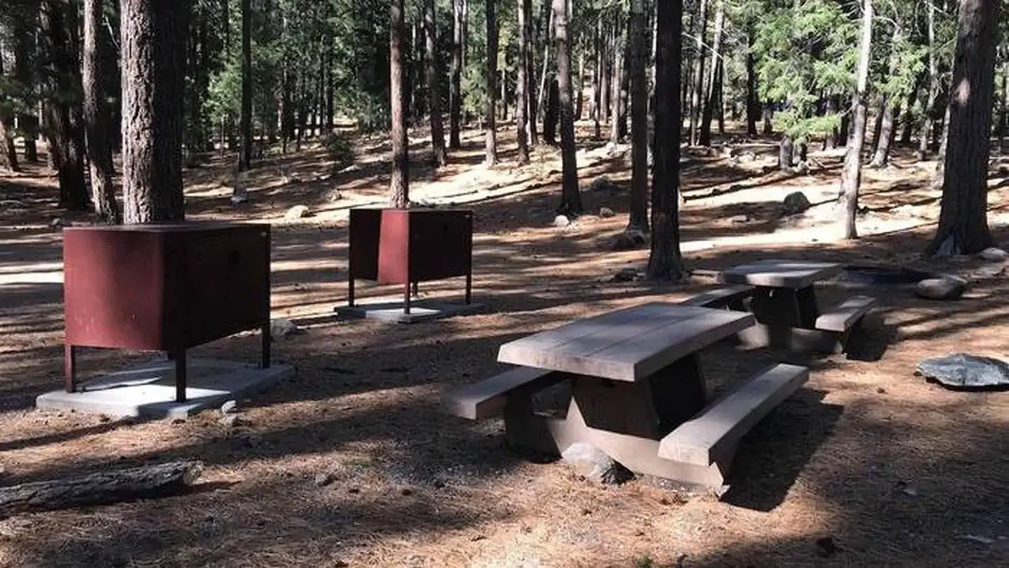 Shaded picnic area with bear boxes