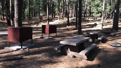 Lower Twilight Group Site