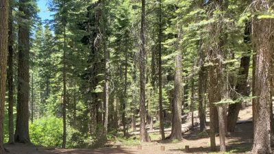 Grizzly Creek Campground
