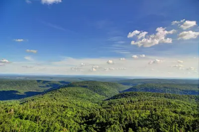 View from White Rock Mountain