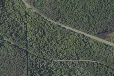Two Mile Campsite