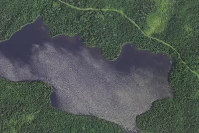 Shoko Lake Site 1