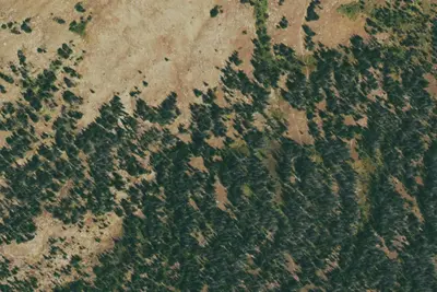 U.S. Forest Service Site 1