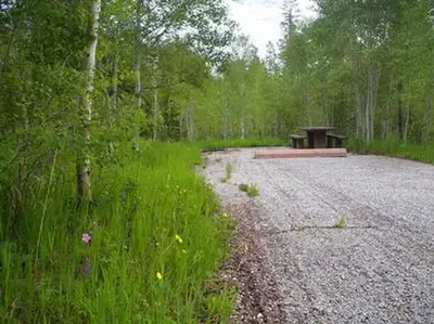Lodgepole at Flaming Gorge
