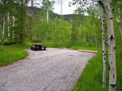 Lodgepole at Flaming Gorge