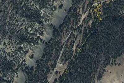 Burn Pile