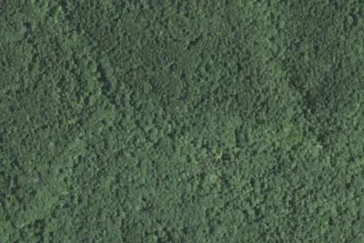 Primitive Campsite