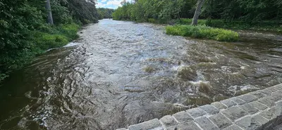 Redwood River Flooding at Ramsey Park