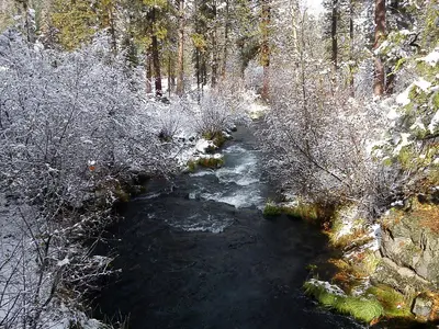 Redding, CA, USA - panoramio (2)