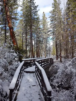 Redding, CA, USA - panoramio (1)