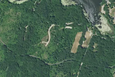 White Pine sites 1-6