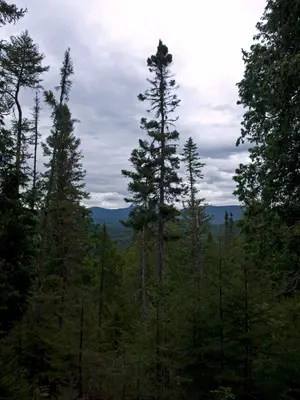 PN Gaspesie view from the left bank