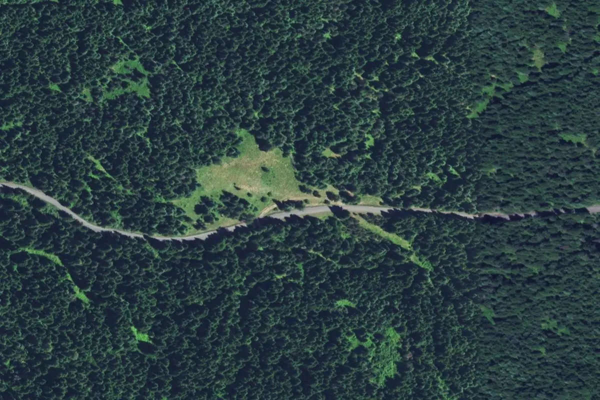 Aerial view