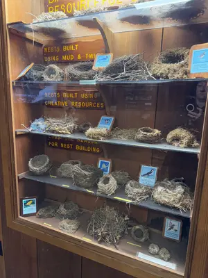 Humboldt Redwoods State Park Visitor Center - December 2024 - Sarah Stierch 13