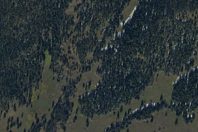 Upper Dailey Creek