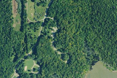 Oak Campground