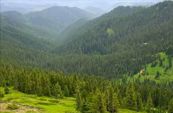 Photo of Umpqua National Forest