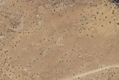 Designated Campsite
