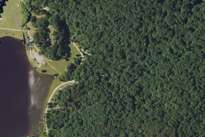 Site 9