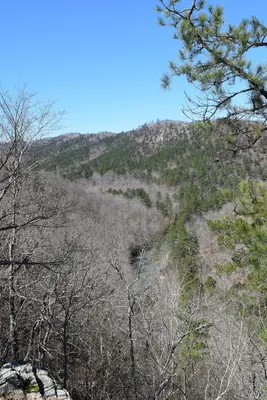 Ouachita National Forest and Little Missouri River
