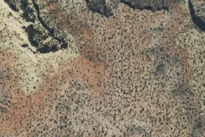 Camp site