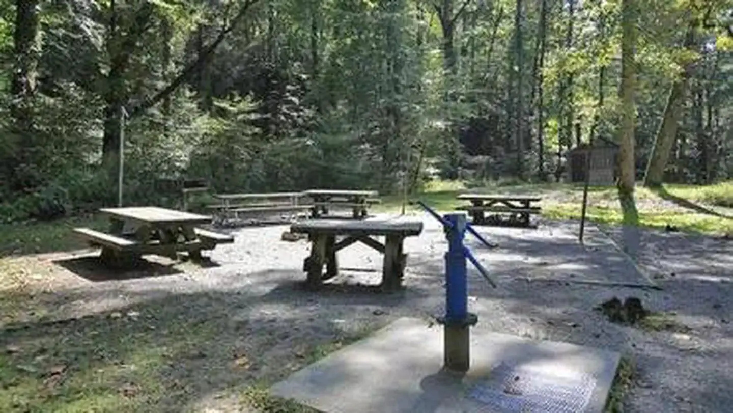 Picnic tables at White Pines Group Site
