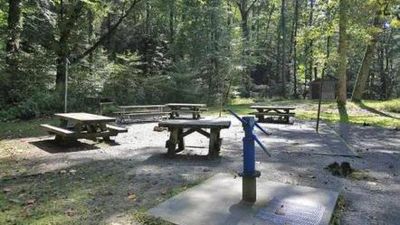 White Pine South Group Camp